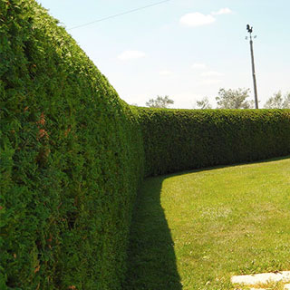 Pose de clôture et grillage La Planche